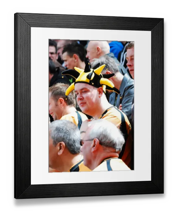 Framed Print : Championship Title Win: Wolverhampton Wanderers Triumph (08-09)