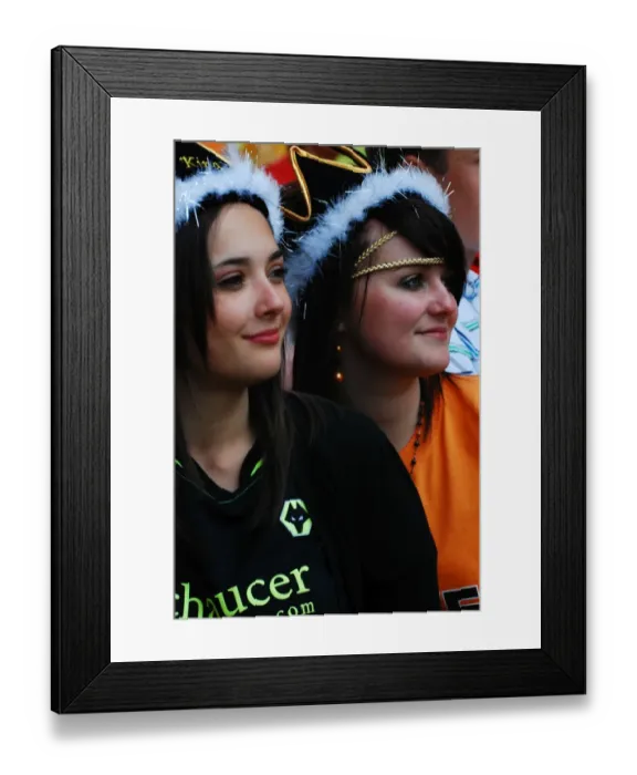 Framed Print : Wolverhampton Wanderers: Celebrating Glory - The Championship-Winning Season 08-09 Framed Print : Wolverhampton Wanderers: Celebrating Glory - The Championship-Winning Season 08-09