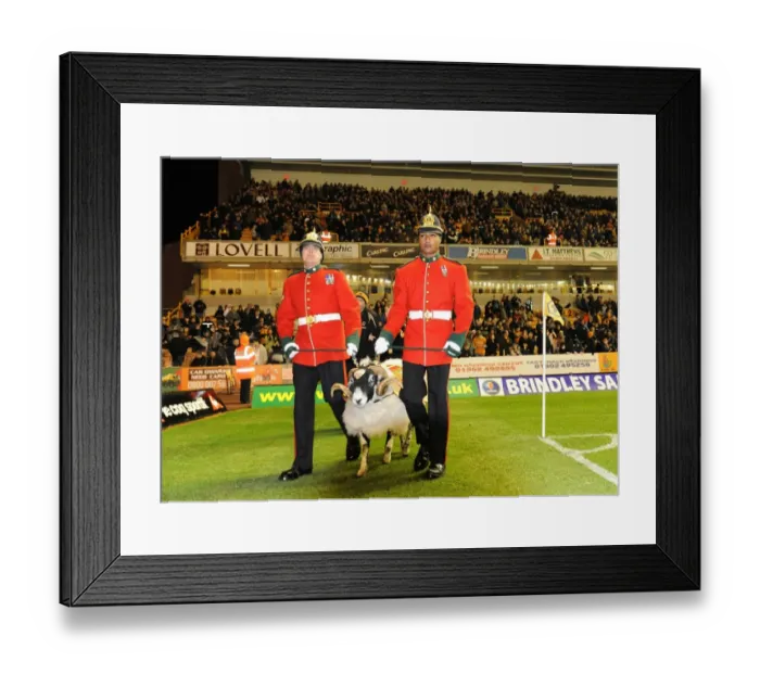 Framed Print : The Mercian Regiment Mascot Amongst the Wolves: Wolverhampton Wanderers vs Arsenal, Barclays Premier League Framed Print : The Mercian Regiment Mascot Amongst the Wolves: Wolverhampton Wanderers vs Arsenal, Barclays Premier League