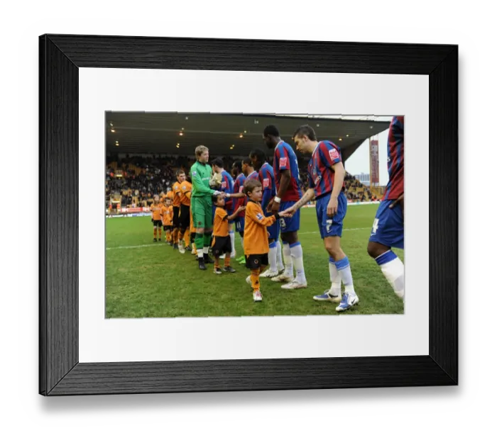 Framed Print : Wolves vs Palace FA Cup Fourth Round: Mascots Showdown Framed Print : Wolves vs Palace FA Cup Fourth Round: Mascots Showdown