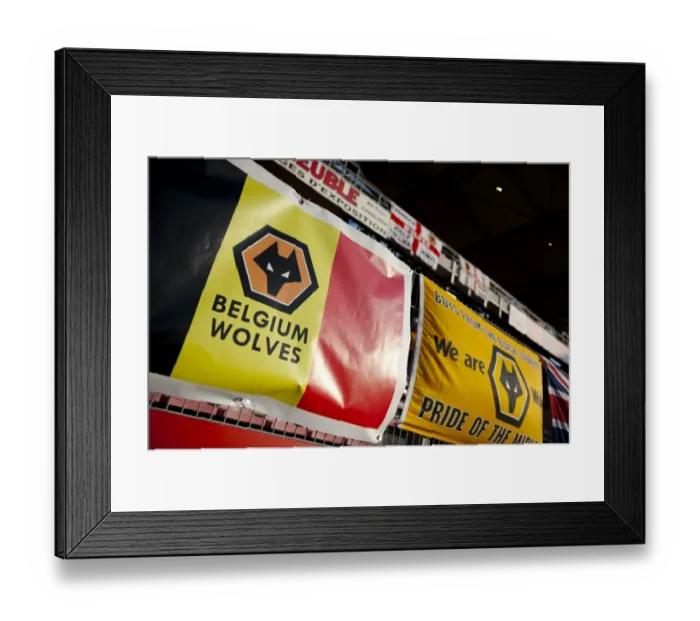 Framed Print : Wolves in Belgium: Wolverhampton Wanderers vs RCSC Charleroi - Pre-Season Friendly