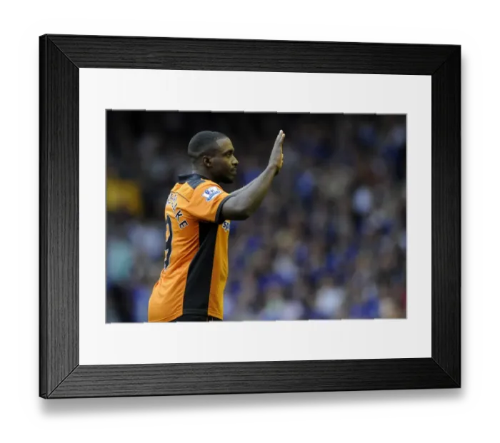 Framed Print : Dramatic Equalizer: Sylvan Ebanks-Blake Scores for Wolverhampton Wanderers Against Everton in Barclays League Framed Print : Dramatic Equalizer: Sylvan Ebanks-Blake Scores for Wolverhampton Wanderers Against Everton in Barclays League