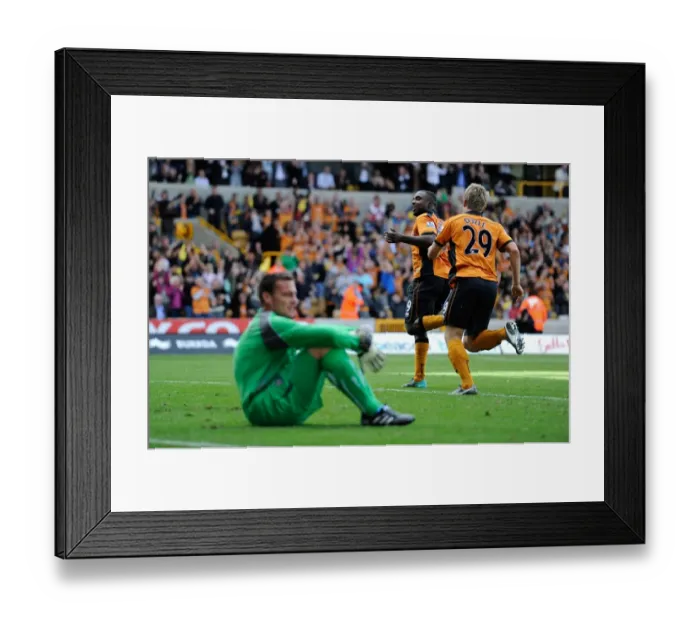 Framed Print : Sylvan Ebanks-Blake's 1-0 Goal Celebration: Dejected Steve Harper of Newcastle United Framed Print : Sylvan Ebanks-Blake's 1-0 Goal Celebration: Dejected Steve Harper of Newcastle United