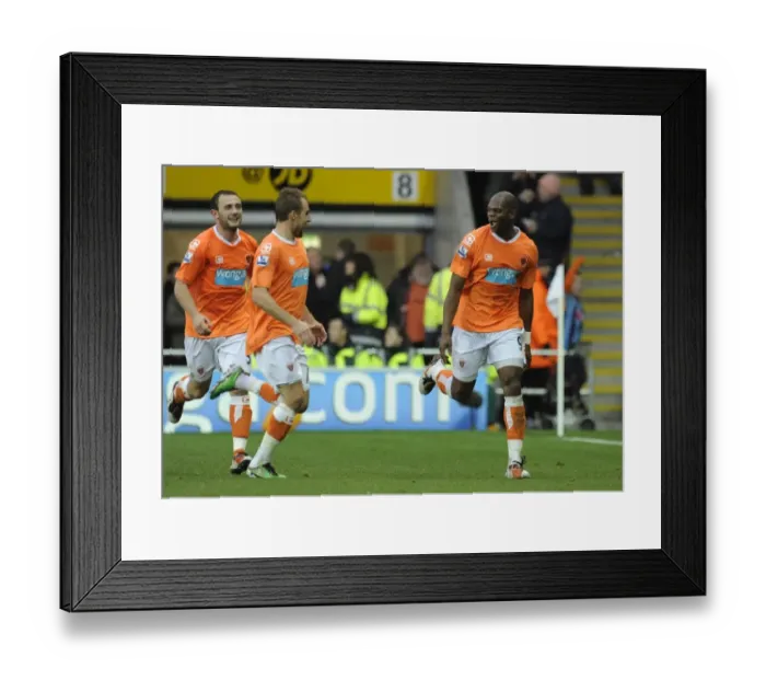 Framed Print : Marlon Harewood's Brace: Blackpool Takes 2-0 Lead Over Wolverhampton Wanderers in Premier League Soccer Framed Print : Marlon Harewood's Brace: Blackpool Takes 2-0 Lead Over Wolverhampton Wanderers in Premier League Soccer