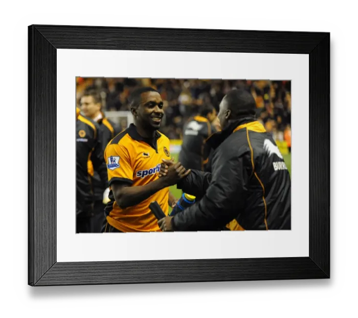 Framed Print : Wolverhampton Wanderers Dramatic 3-2 Comeback: Sylvan Ebanks-Blake's Last-Minute Full-Time Goal (BPL: Wolves vs Sunderland)