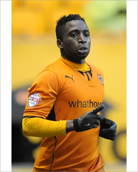 Wolverhampton Wanderers: Nouha Dicko Scores First Goal in Sky Bet League One Victory over Bristol City (January 25, 2014, Molineux Stadium)