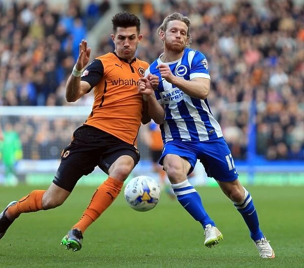 Battling for Championship Supremacy: A Clash between Batth and Mackail-Smith - Wolverhampton Wanderers vs Brighton and Hove Albion