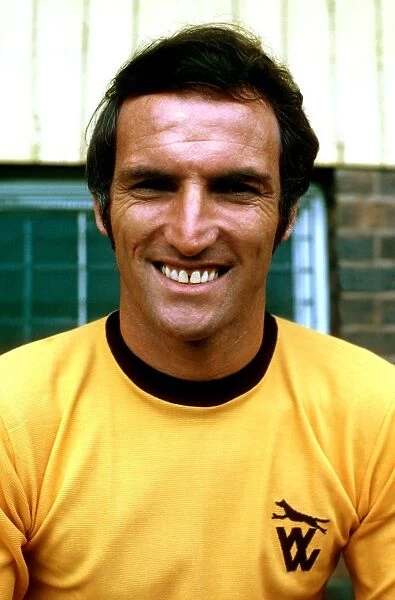 Derek Dougan, Wolverhampton Wanderers