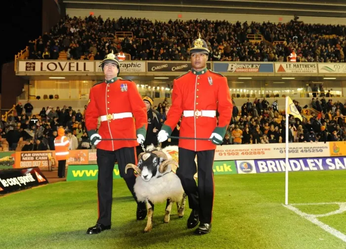Framed Print : The Mercian Regiment Mascot Amongst the Wolves: Wolverhampton Wanderers vs Arsenal, Barclays Premier League Framed Print : The Mercian Regiment Mascot Amongst the Wolves: Wolverhampton Wanderers vs Arsenal, Barclays Premier League