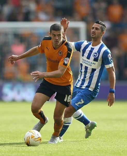 Sky Bet Championship - Wolves v Brighton and Hove Albion - Molineux