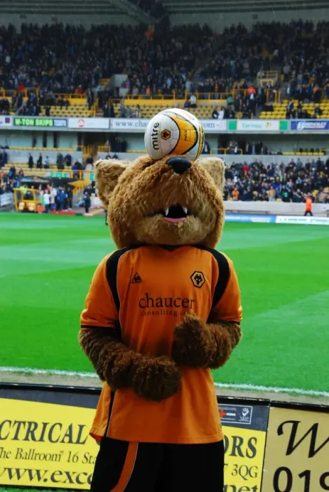 Framed Print : Wolfie and Wendy: The Playful Mascots of Wolverhampton Wanderers Football Club Framed Print : Wolfie and Wendy: The Playful Mascots of Wolverhampton Wanderers Football Club