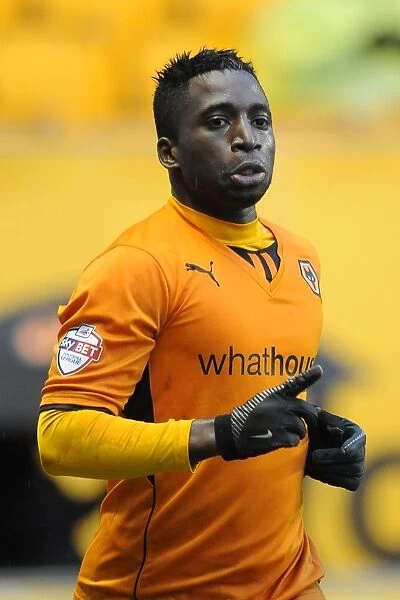 Wolverhampton Wanderers: Nouha Dicko Scores First Goal in Sky Bet League One Victory over Bristol City (January 25, 2014, Molineux Stadium)