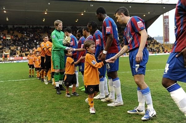 Wolves vs Palace FA Cup Fourth Round: Mascots Showdown