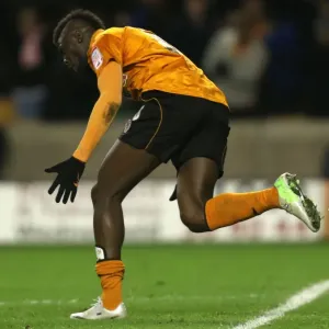 Bakary Sako's Equalizer: Wolverhampton Wanderers vs. Watford in Championship Bakary Sako's Equalizer: Wolverhampton Wanderers vs. Watford in Championship