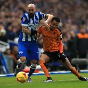 Sky Bet Championship Prints: Sky Bet Championship - Brighton And Hove Albion V Wolves - AMEX Stadium