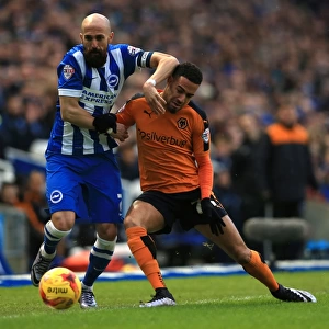 Battling for Supremacy: Saltor vs. Graham in the Sky Bet Championship Clash between Brighton & Hove Albion and Wolverhampton Wanderers