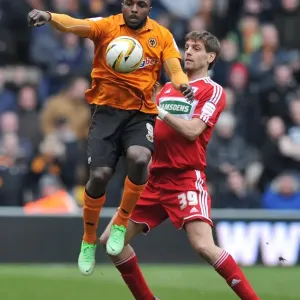 Championship Showdown: Ebanks-Blake vs. Woodgate - A Battle of Wolverhampton Wanderers and Middlesbrough Championship Showdown: Ebanks-Blake vs. Woodgate - A Battle of Wolverhampton Wanderers and Middlesbrough