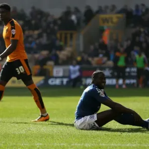 Sky Bet Championship Prints: Sky Bet Championship - Wolves V Birmingham City - Molineux