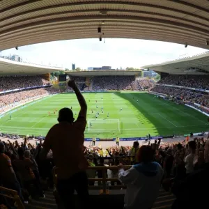 David Edwards Decisive Strike: 2-0 Wolves Overpower Fulham (Premier League)