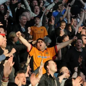 Euphoria at Full Time: Wolves Victory Over Aston Villa, Premier League