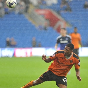 Sky Bet Championship Collection: Sky Bet Championship - Cardiff City v Wolves - Cardiff City Stadium