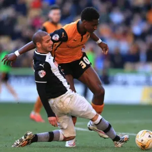 Intense Battle for Supremacy: Hause vs. Guedioura - Wolves vs. Watford (Sky Bet Championship)