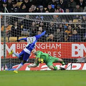 Marcus Hahnemann Saves Penalty from Hugo Rodallega: Dramatic Moment in Wolves vs. Wigan Athletic, Premier League
