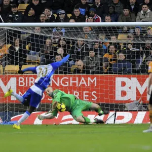 Marcus Hahnemann Saves Penalty from Hugo Rodallega: Dramatic Moment in Wolves vs. Wigan Athletic, Premier League