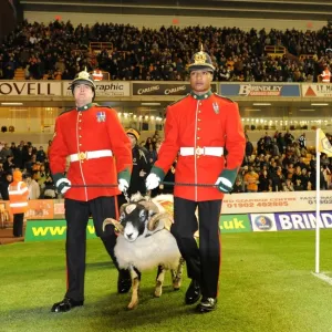 The Mercian Regiment Mascot Amongst the Wolves: Wolverhampton Wanderers vs Arsenal, Barclays Premier League The Mercian Regiment Mascot Amongst the Wolves: Wolverhampton Wanderers vs Arsenal, Barclays Premier League