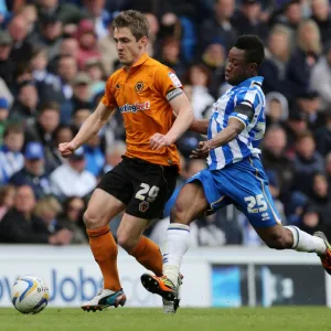 npower Football League Championship - Brighton and Hove Albion v Wolverhampton Wanderers - AMEX Stadium