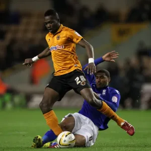 npower Football League Championship - Wolverhampton Wanderers v Birmingham City - Molineux npower Football League Championship - Wolverhampton Wanderers v Birmingham City - Molineux