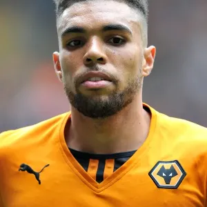 Scott Golbourne in Action: Wolverhampton Wanderers vs Sheffield United (Sky Bet League One, Molineux, 2013) Scott Golbourne in Action: Wolverhampton Wanderers vs Sheffield United (Sky Bet League One, Molineux, 2013)