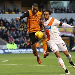 Sky Bet Championship Jigsaw Puzzle Collection: Sky Bet Championship - Wolves v Blackpool - Molineux Stadium