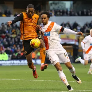 Sky Bet Championship - Wolverhampton Wanderers v Blackpool - Molineux Stadium