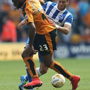 Sky Bet Championship Photographic Print Collection: Sky Bet Championship - Wolves v Brighton and Hove Albion - Molineux