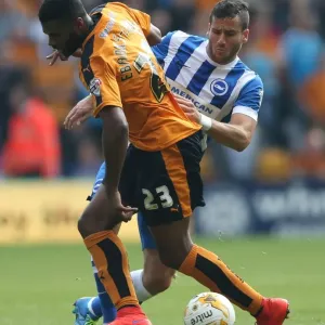 Sky Bet Championship Prints: Sky Bet Championship - Wolves V Brighton And Hove Albion - Molineux