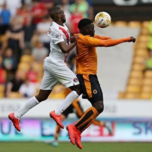 Sky Bet Championship Photographic Print Collection: Sky Bet Championship - Wolves v Charlton Athletic - Molineux