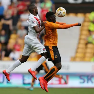 Sky Bet Championship Photographic Print Collection: Sky Bet Championship - Wolves v Charlton Athletic - Molineux