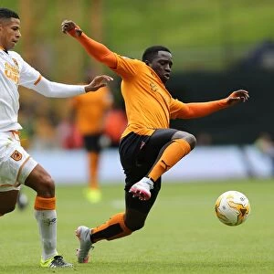 Sky Bet Championship Jigsaw Puzzle Collection: Sky Bet Championship - Wolves v Hull City - Molineux