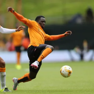 Sky Bet Championship Photographic Print Collection: Sky Bet Championship - Wolves v Hull City - Molineux