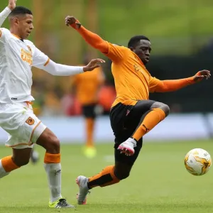 Sky Bet Championship - Wolves v Hull City - Molineux