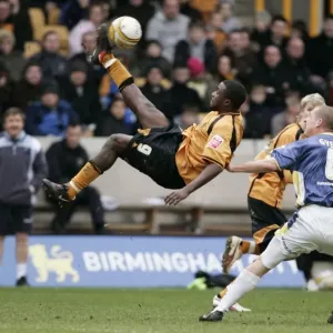 Sylvan Ebanks Blake: Coca-Cola Championship Player of the Year (Wolverhampton Wanderers) Sylvan Ebanks Blake: Coca-Cola Championship Player of the Year (Wolverhampton Wanderers)