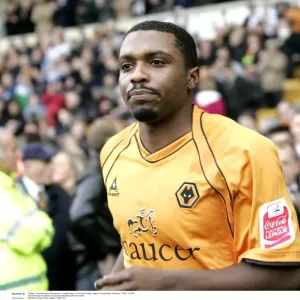 Sylvan Ebanks Blake: Coca-Cola Championship Player of the Year (Wolverhampton Wanderers) Sylvan Ebanks Blake: Coca-Cola Championship Player of the Year (Wolverhampton Wanderers)