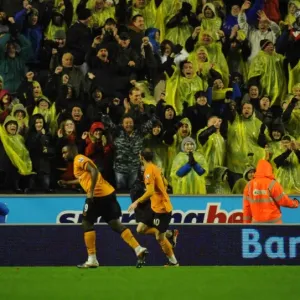 Sylvan Ebanks-Blake: The Formidable Striker of Wolverhampton Wanderers
