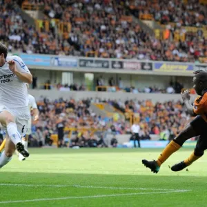 Sylvan Ebanks-Blake Scores the Opener: Wolverhampton Wanderers Lead Newcastle United in Premier League Soccer Sylvan Ebanks-Blake Scores the Opener: Wolverhampton Wanderers Lead Newcastle United in Premier League Soccer
