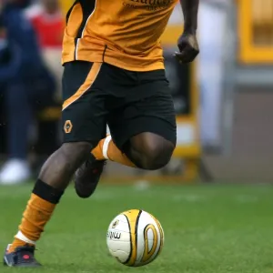 Sylvan Ebanks-Blake, Wolves vs Watford, 31 / 1 / 09