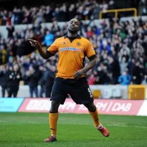 Sylvan Ebanks-Blake's Brace: Wolverhampton Wanderers Crush Blackpool 4-0
