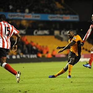 Sylvan Ebanks-Blake's Dramatic 3-2 Comeback Goal for Wolverhampton Wanderers vs. Sunderland