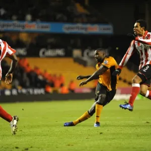 Sylvan Ebanks-Blake's Dramatic 3-2 Comeback Goal for Wolverhampton Wanderers vs. Sunderland