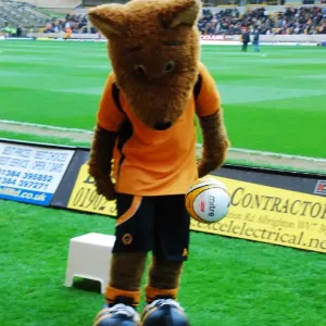 Wolfie & Wendy: Legendary Duo of Wolverhampton Wanderers Football Club